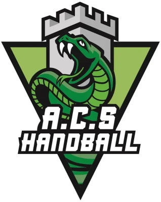 Logo AC Seyssinet Handball