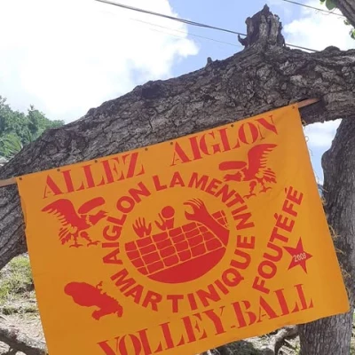 Logo Aiglon Volley-Ball Club