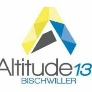 Logo Altitude 137
