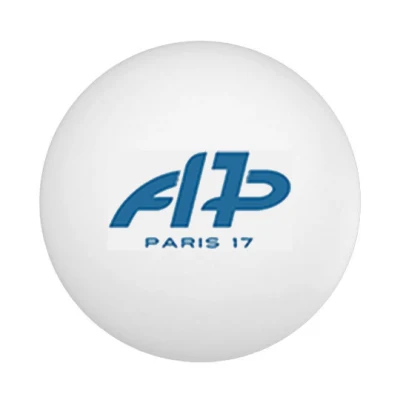 Logo Amicale des Pongistes du 17eme A.P.17