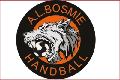 Logo Amicale Laique Bosmie l'Aiguille
