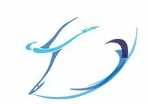 Logo Armor Sports de Glace