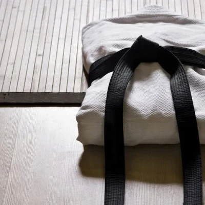 Logo AS Gien Judo