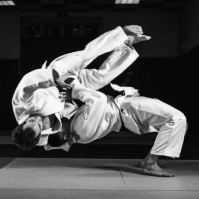 Logo AS Sportive Luzarches Judo