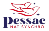 Logo Ascpa Pessac Nat'Synchro