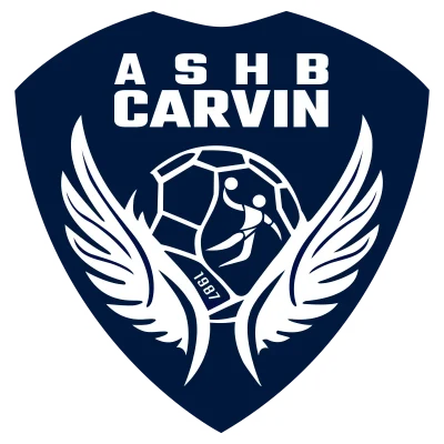 Logo Ashb Carvin