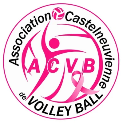 Logo Ass Castelneuvienne Volley Ball