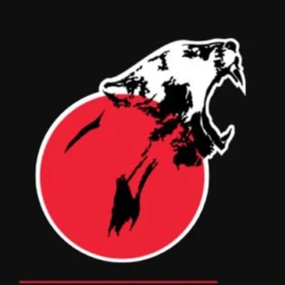 Logo Ass Dojo Olymp Lyon