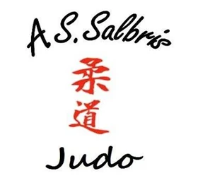 Logo Ass.salbris Sport