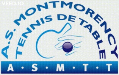 Logo Ass Sportive Montmorency Tennis de Table