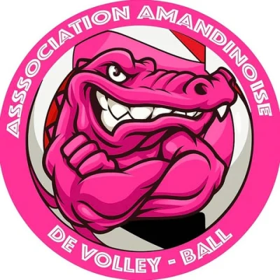 Logo Association Amandinoise de Volley-Ball