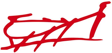 Logo Association Collioure Sportif Aviron
