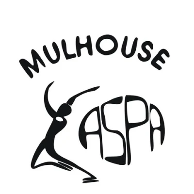 Logo Association des Sports de Glace