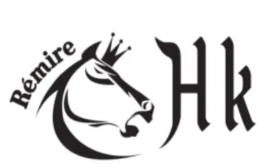 Logo Association Remire Hand Ball King