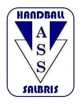 Logo Association Salbris Sport Handball