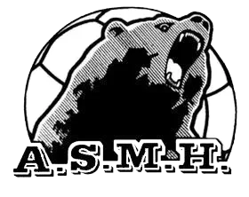 Logo Association Sportive de Marolles HB