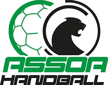 Logo Association Sportive St-Ouen-l'Aumone Handball