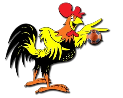 Logo Avenir de Lignieres Handball