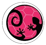 Logo Biscarrosse Olympique Handball