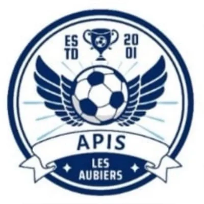 Logo Bordeaux Lac Apis Handball