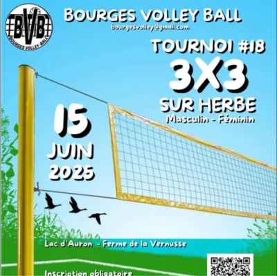 Logo Bourges Volley Ball