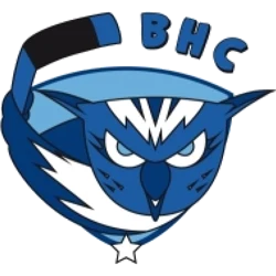 Logo Brive Hockey Club