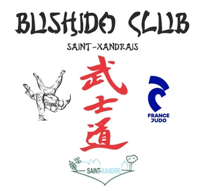 Logo Bushido Club St Xandrais