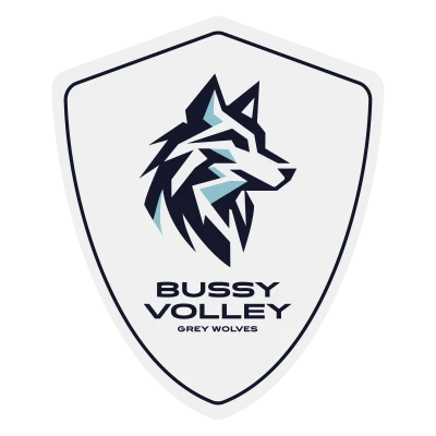 Logo Bussy Volley