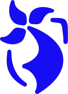 Logo Cadets de Bretagne Rennes