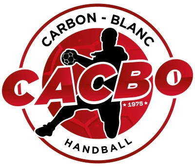 Logo Carbon Blanc HB