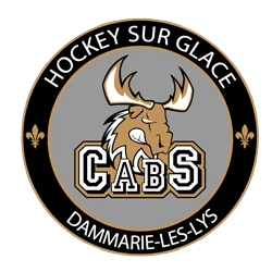 Logo Caribous de Seine-et-Marne