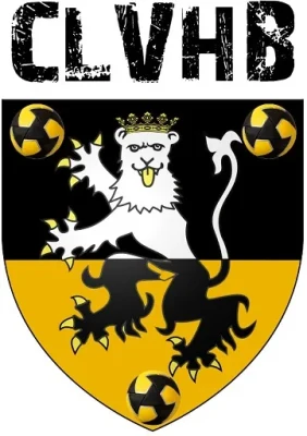 Logo Chateau la Valliere Handball
