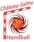Logo Chateau Salins