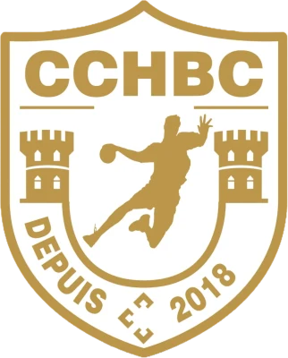 Logo Chateaugiron Communaute Handball Club