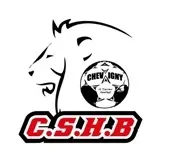 Logo Chevigny St Sauveur Handball