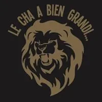 Logo Club de Hand d'Aizenay