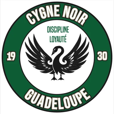 Logo Cygne Noir