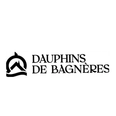 Logo Dauphins Bagnères-de-Bigorre