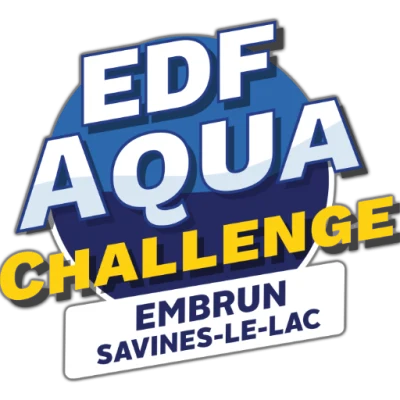 Logo Dauphins Embrun