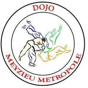 Logo Dojo Meyzieu Metropole