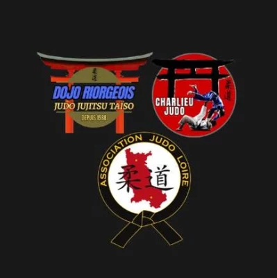 Logo Dojo Riorgeois
