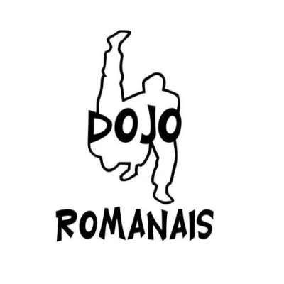 Logo Dojo Romanais
