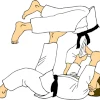 Logo Dojo Shin Languidic