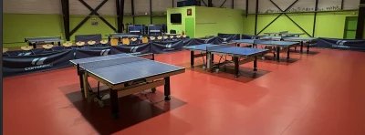 Logo Domont Tennis de Table