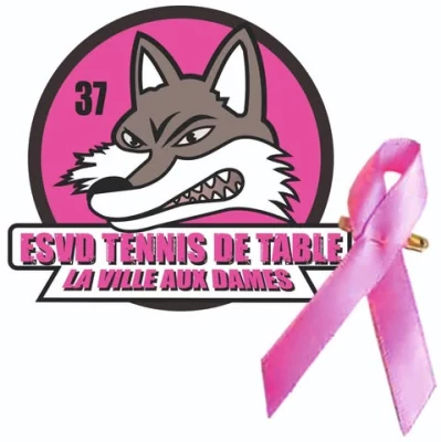 Logo E.S. la Ville-aux-Dames TT