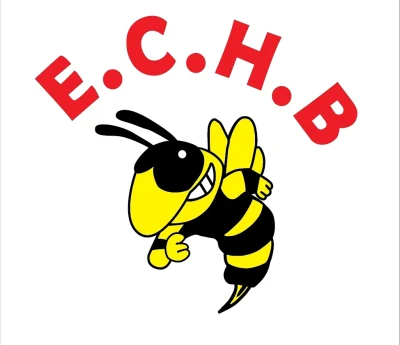 Logo Eclair Chauve Handball