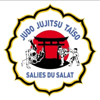 Logo Ecole de Judo Salisienne