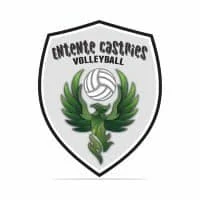 Logo Entente Castries Volley Ball