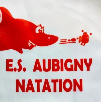 Logo Entente Sportive Aubigny Natat