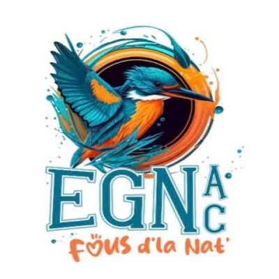 Logo Erdre et Gesvres Natation